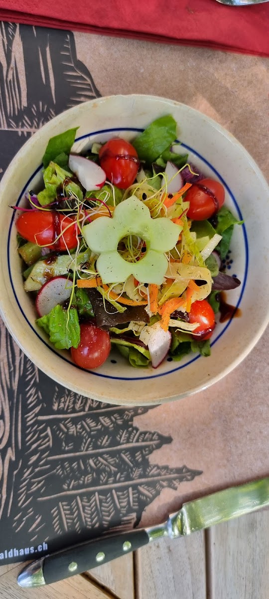 Urwaldhaus – Wirtschaft Zum Bären-7